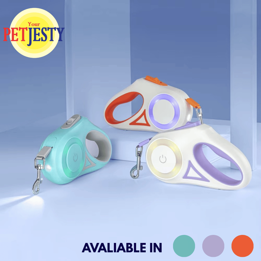 Retractable Dog Lead with LED Light & Torch
