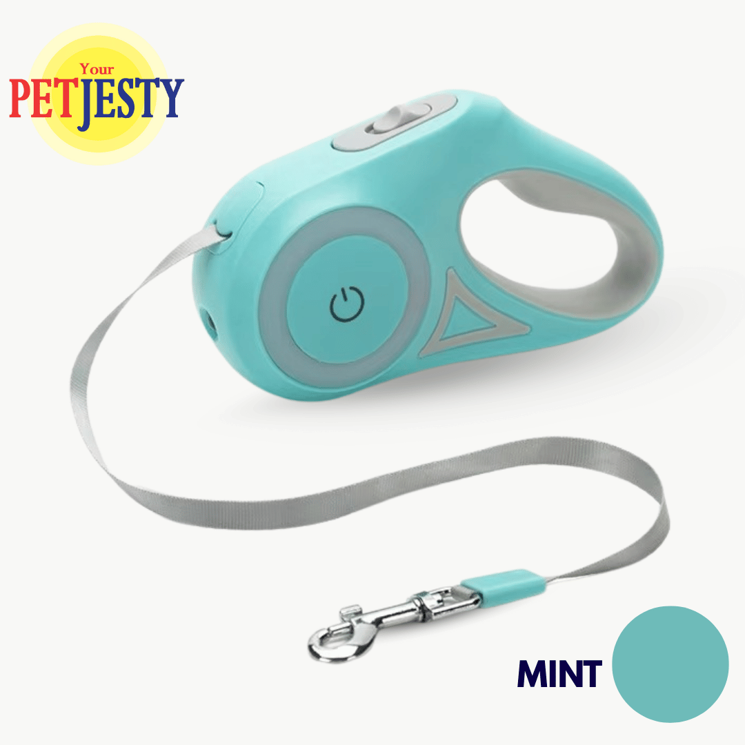 Retractable Dog Lead with LED Light & Torch
