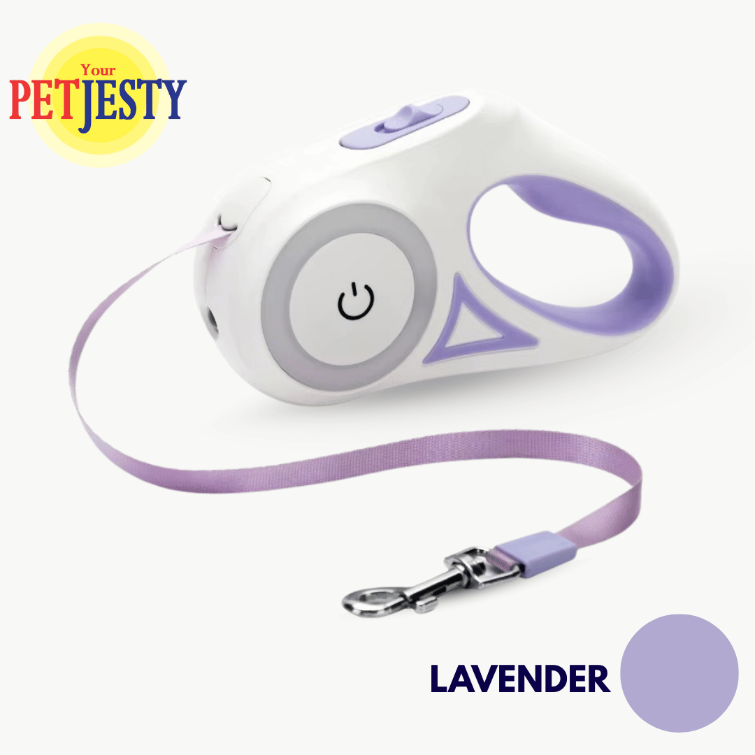 Retractable Dog Lead with LED Light & Torch