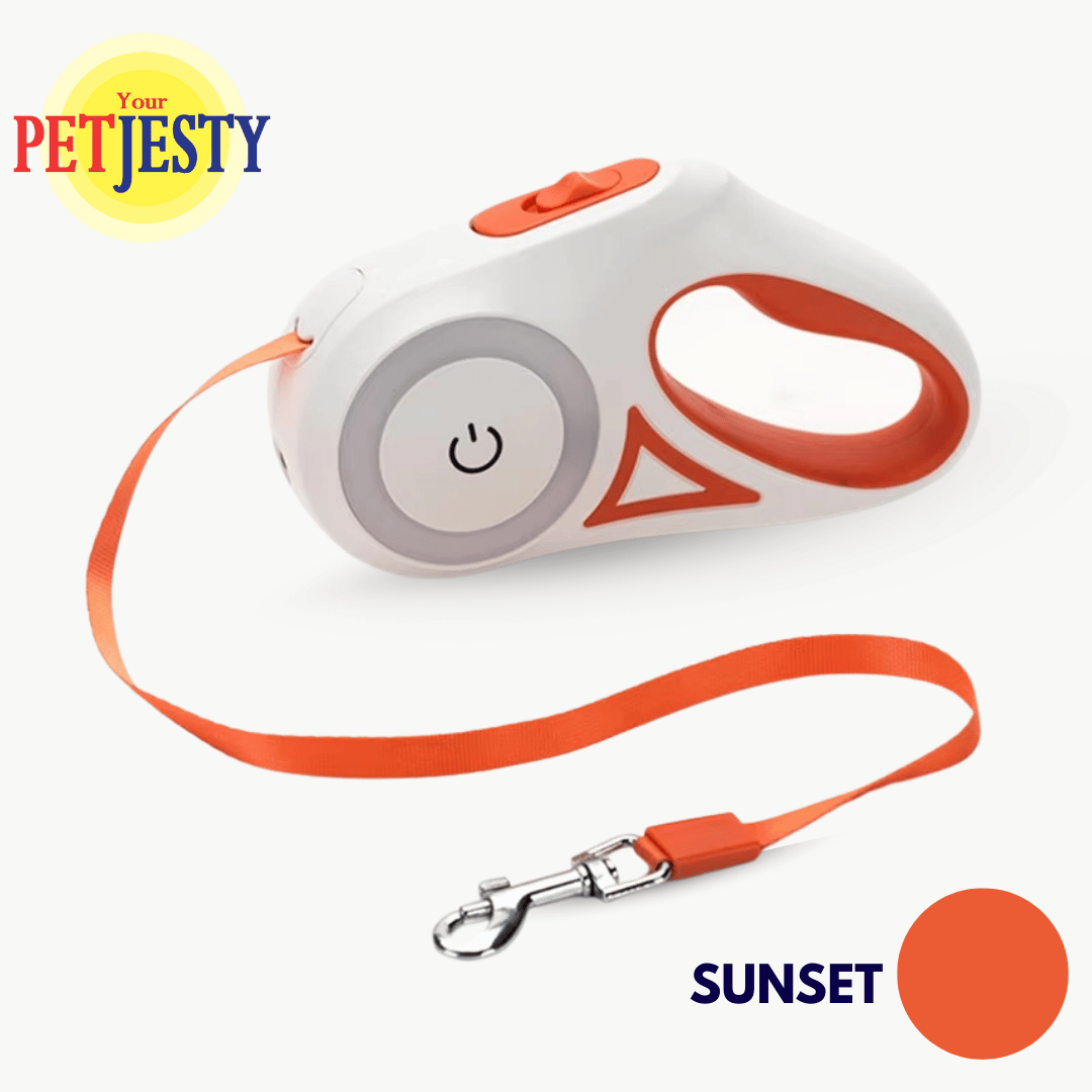 Retractable Dog Lead with LED Light & Torch