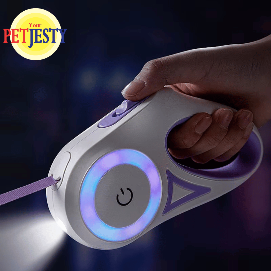 Retractable Dog Lead with LED Light & Torch