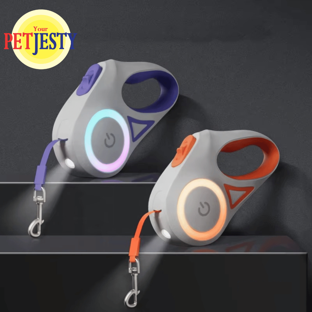 Retractable Dog Lead with LED Light & Torch