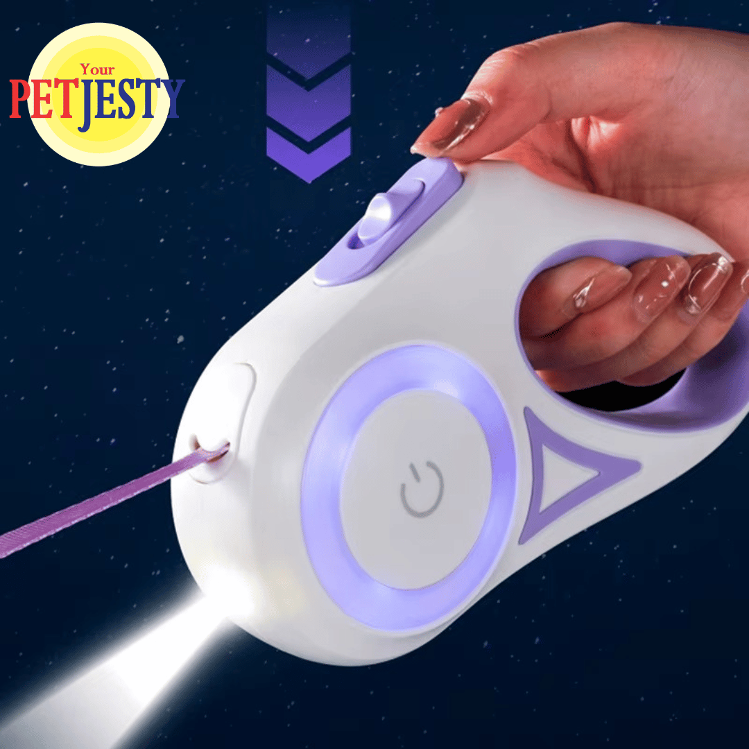 Retractable Dog Lead with LED Light & Torch