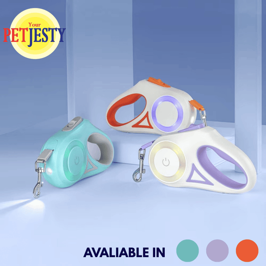 Retractable Dog Lead with LED Light & Torch
