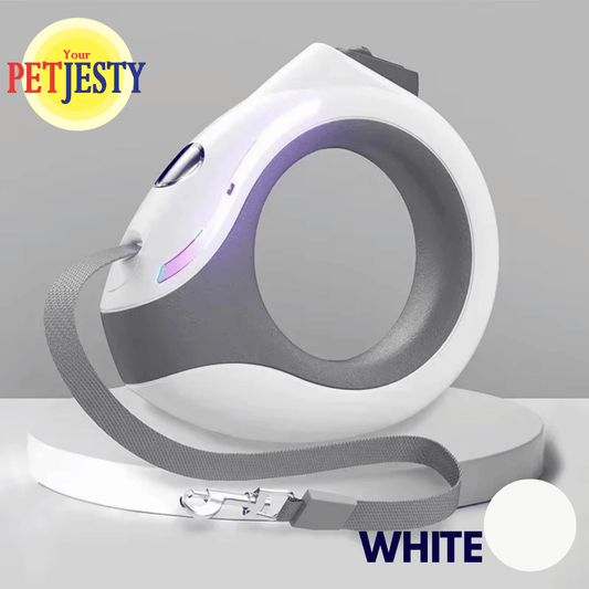 Retractable Extendable Dog Lead with LED Light & Torch