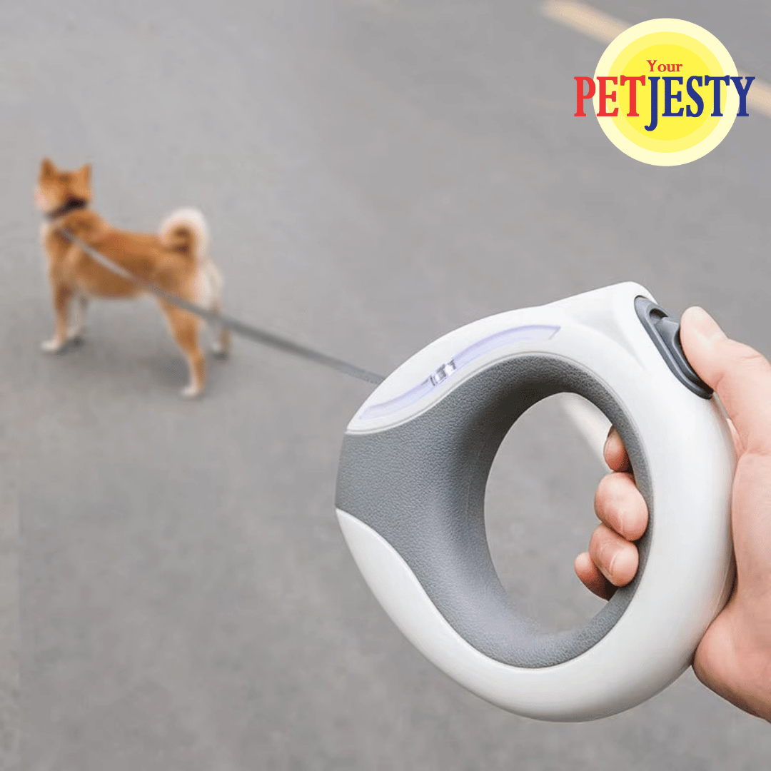 Retractable Extendable Dog Lead with LED Light & Torch