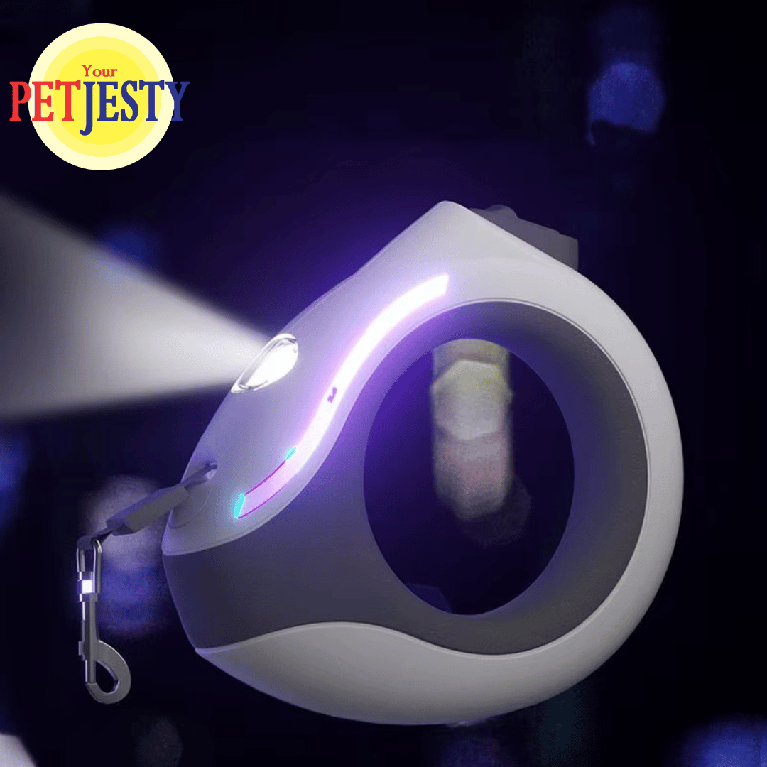 Retractable Extendable Dog Lead with LED Light & Torch